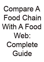 Compare A Food Chain With A Food Web: Complete Guide