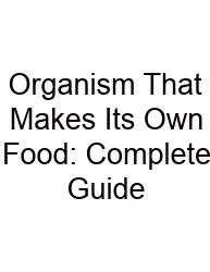 Organism That Makes Its Own Food: Complete Guide
