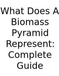 What Does A Biomass Pyramid Represent: Complete Guide