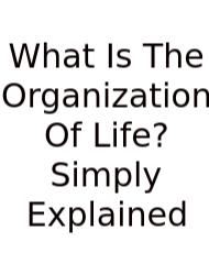 What Is The Organization Of Life? Simply Explained