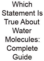 Which Statement Is True About Water Molecules: Complete Guide